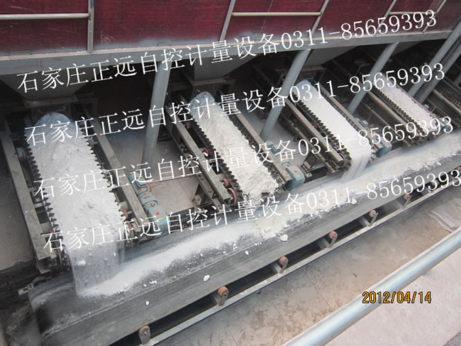 ����Ƥ��������